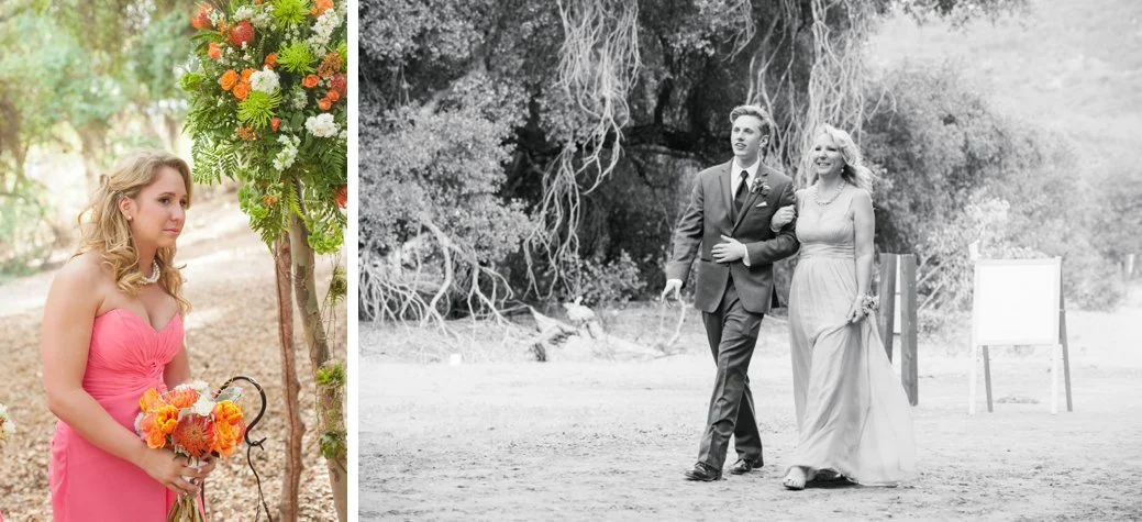 Stephani Dennis Photography