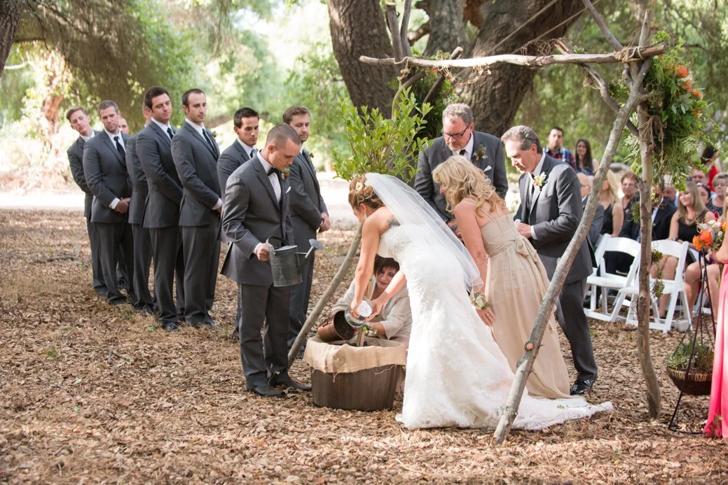Stephani Dennis Photography