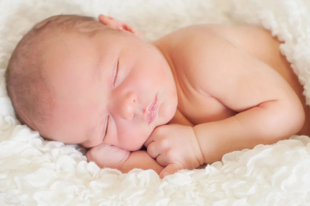 Stephani Dennis Photography