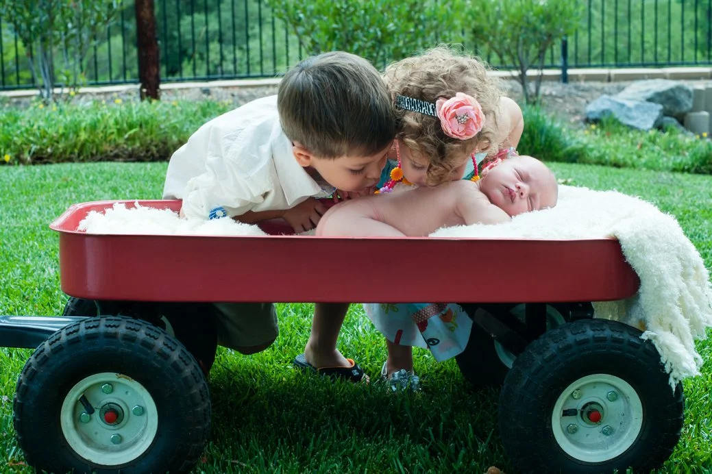 Stephani Dennis Photography