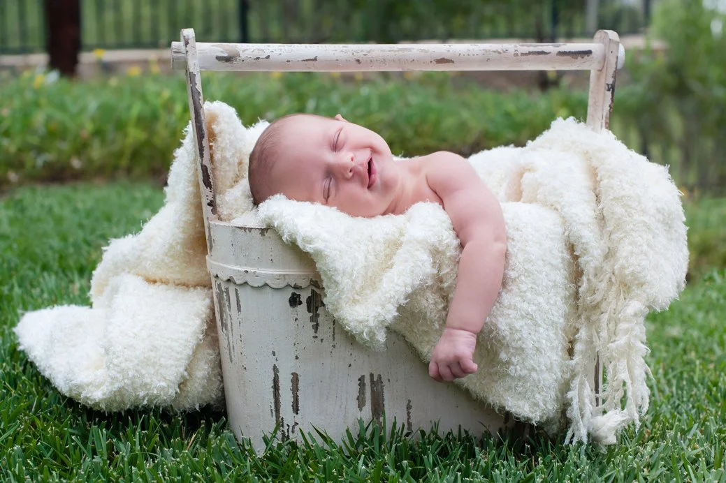 Stephani Dennis Photography
