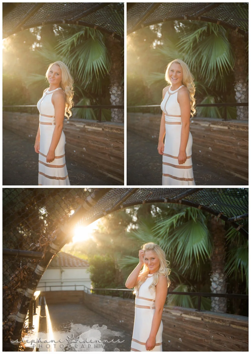 Stephani Dennis Photography