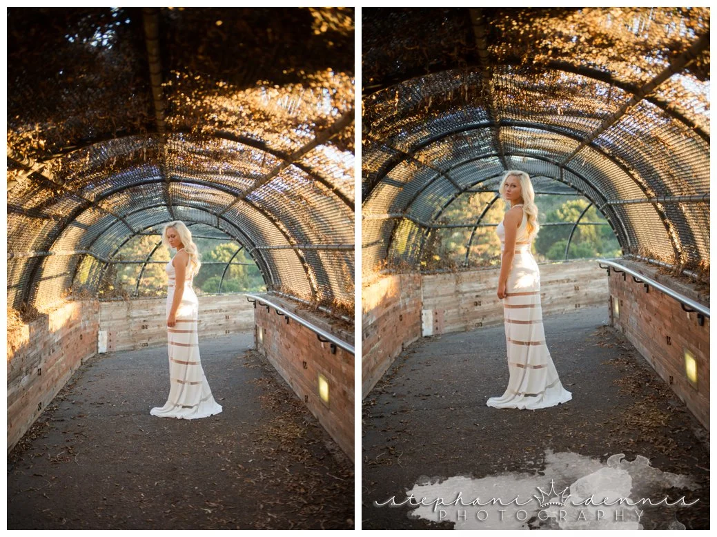 Stephani Dennis Photography