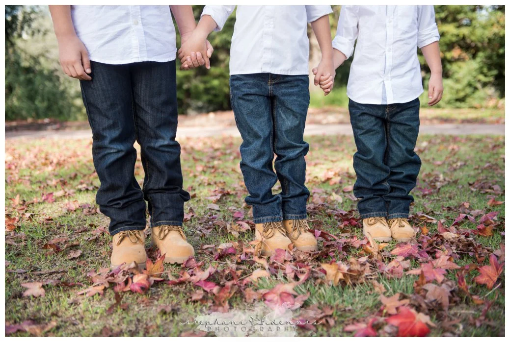 Stephani Dennis Photography