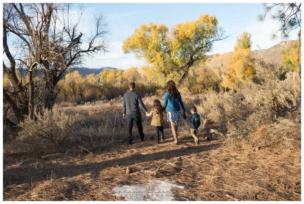 Stephani Dennis Photography