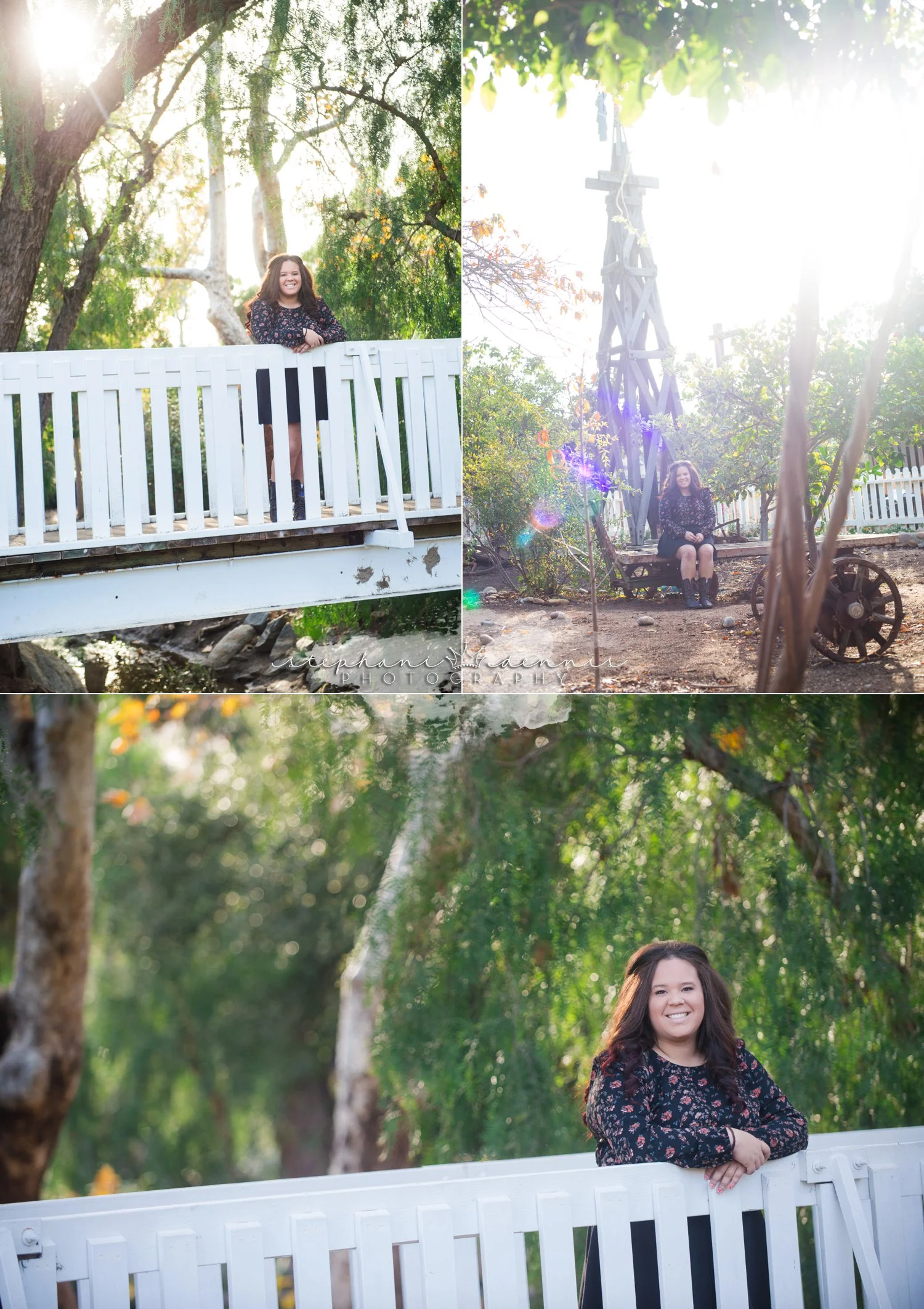 Stephani Dennis Photography