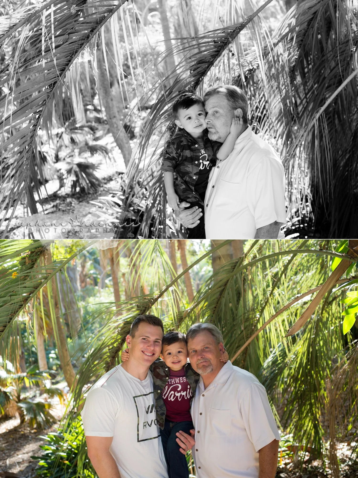 Stephani Dennis Photography