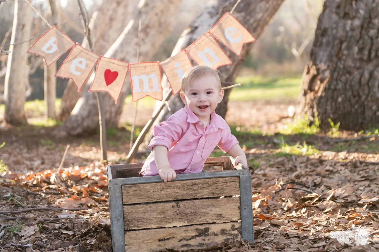 Stephani Dennis Photography