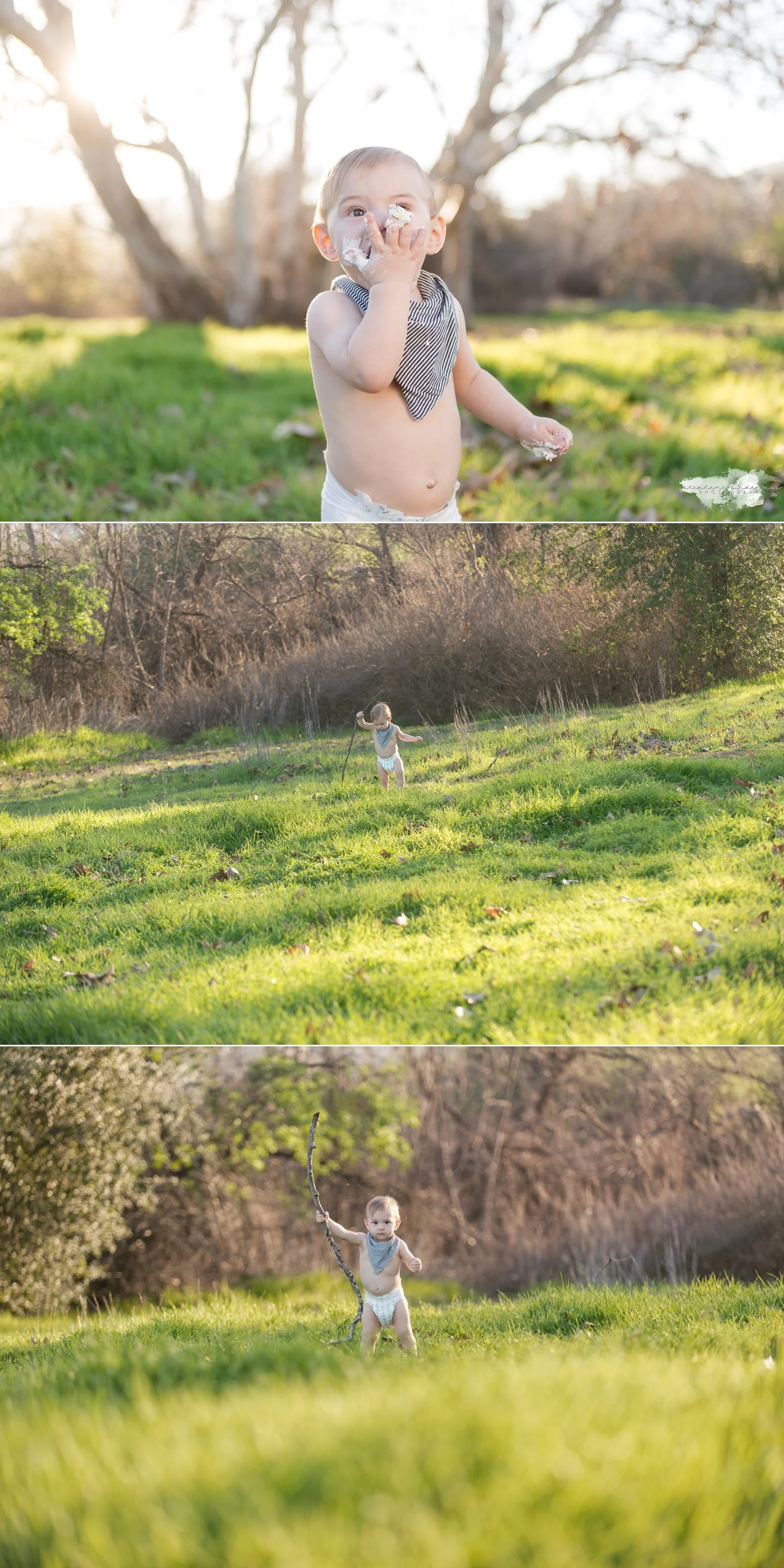 Stephani Dennis Photography