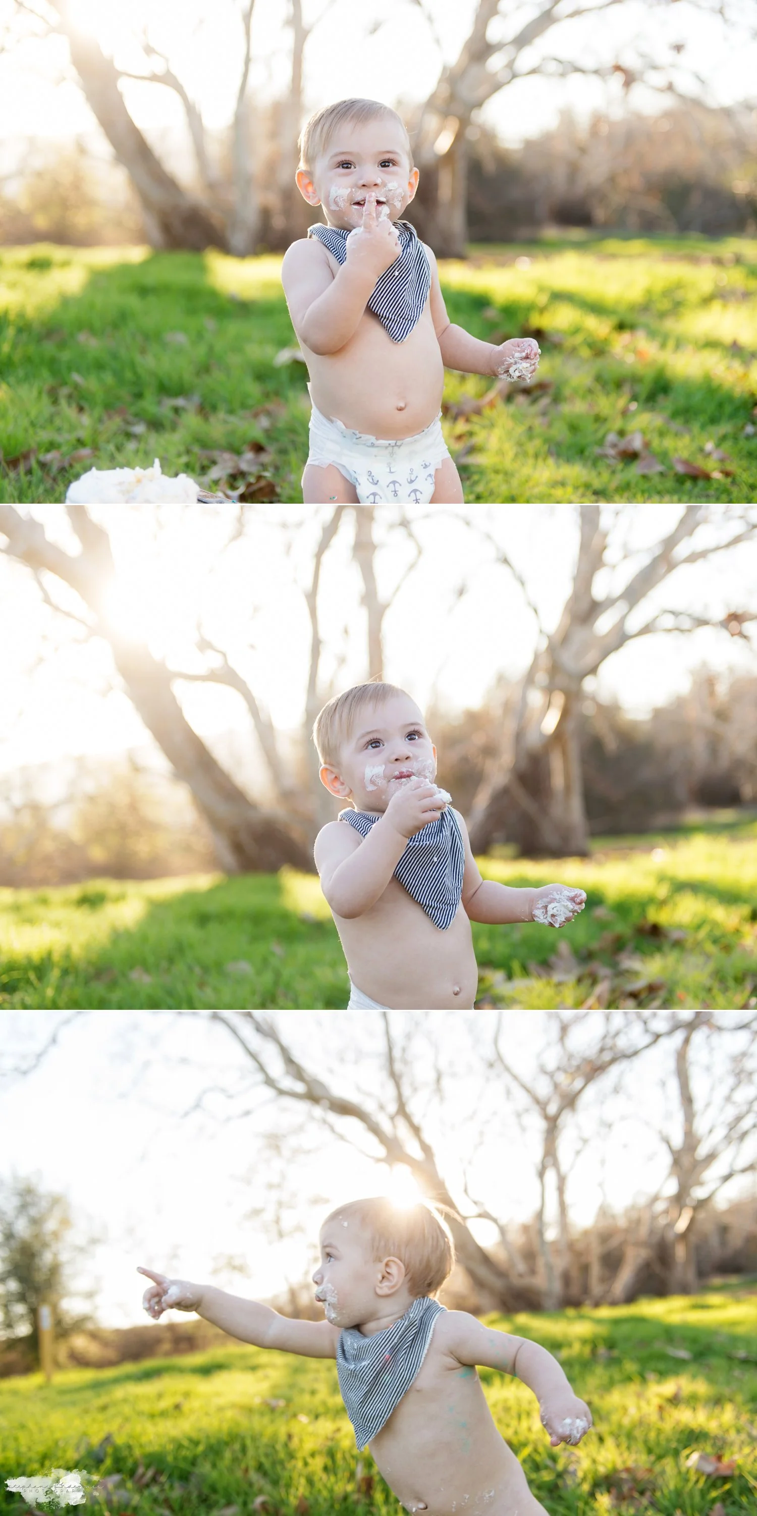 Stephani Dennis Photography