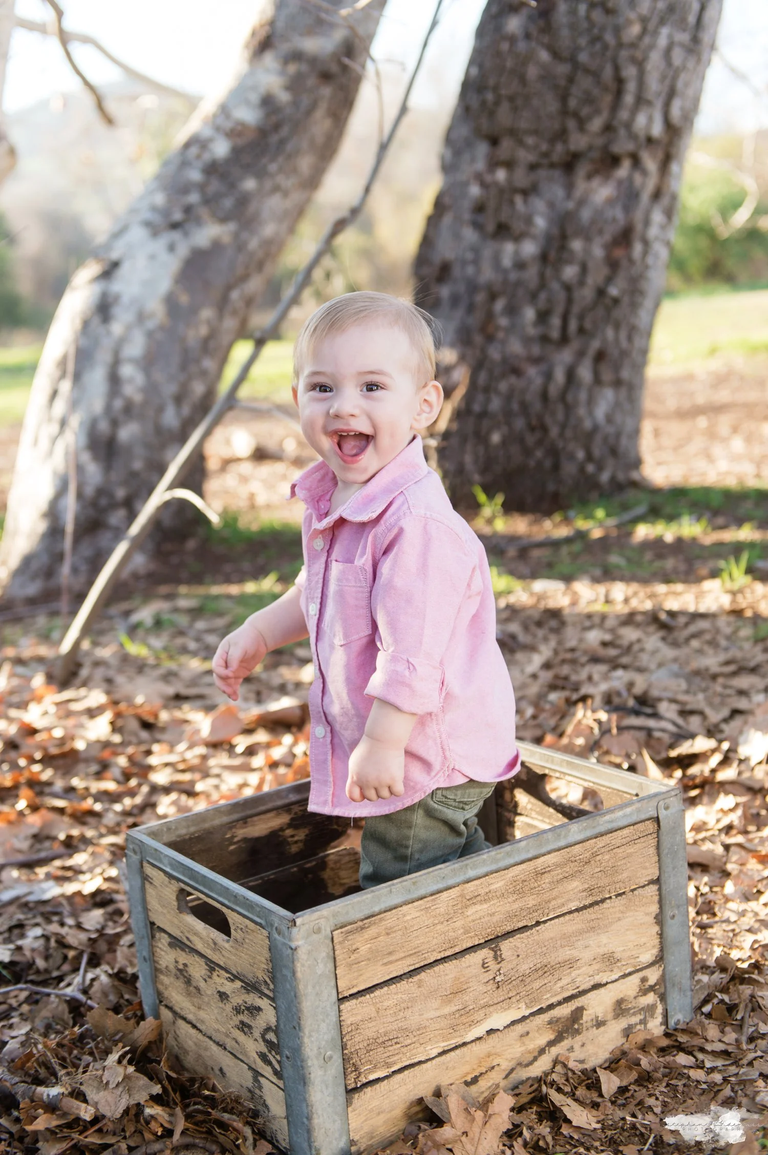 Stephani Dennis Photography