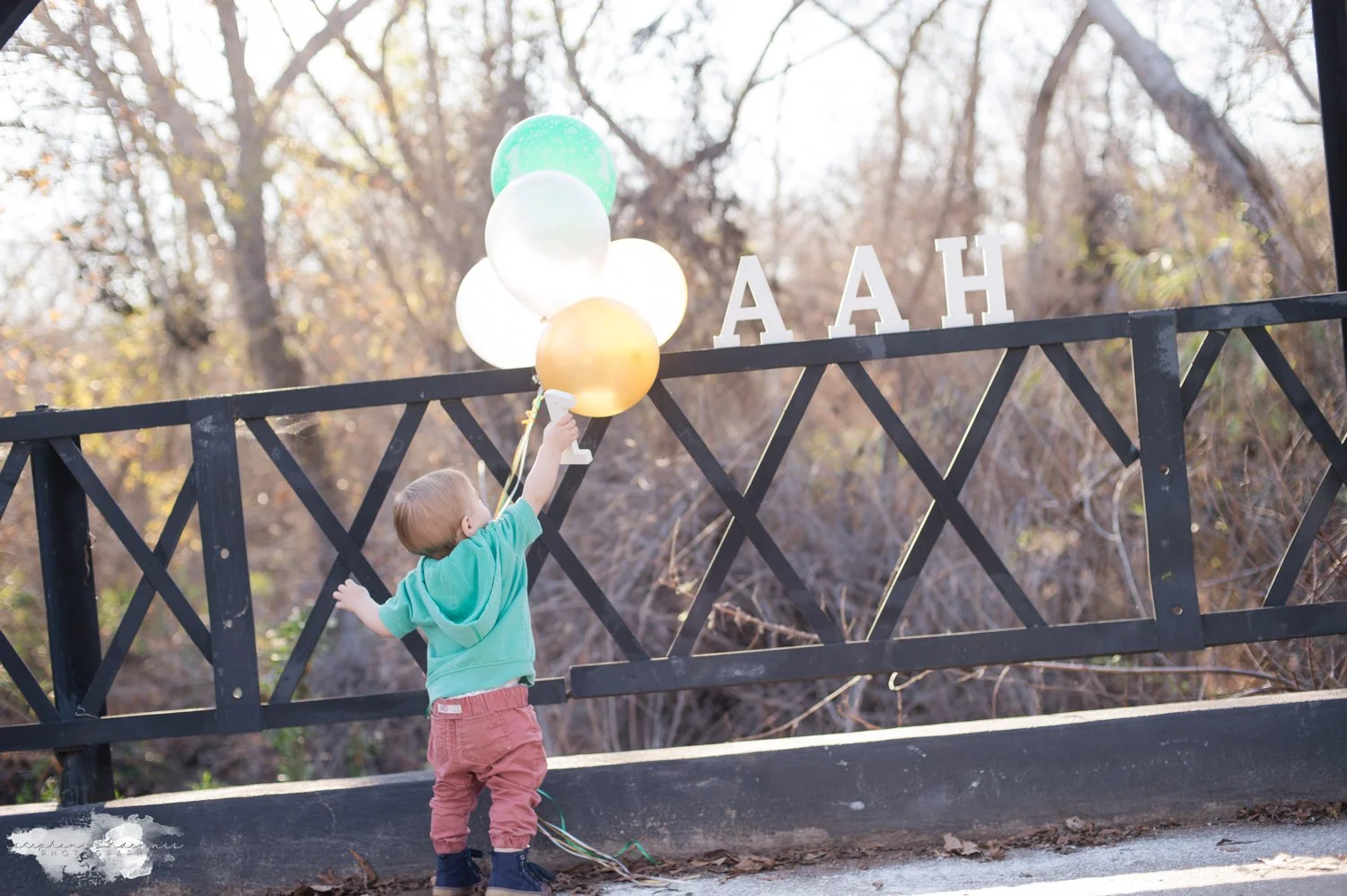 Stephani Dennis Photography