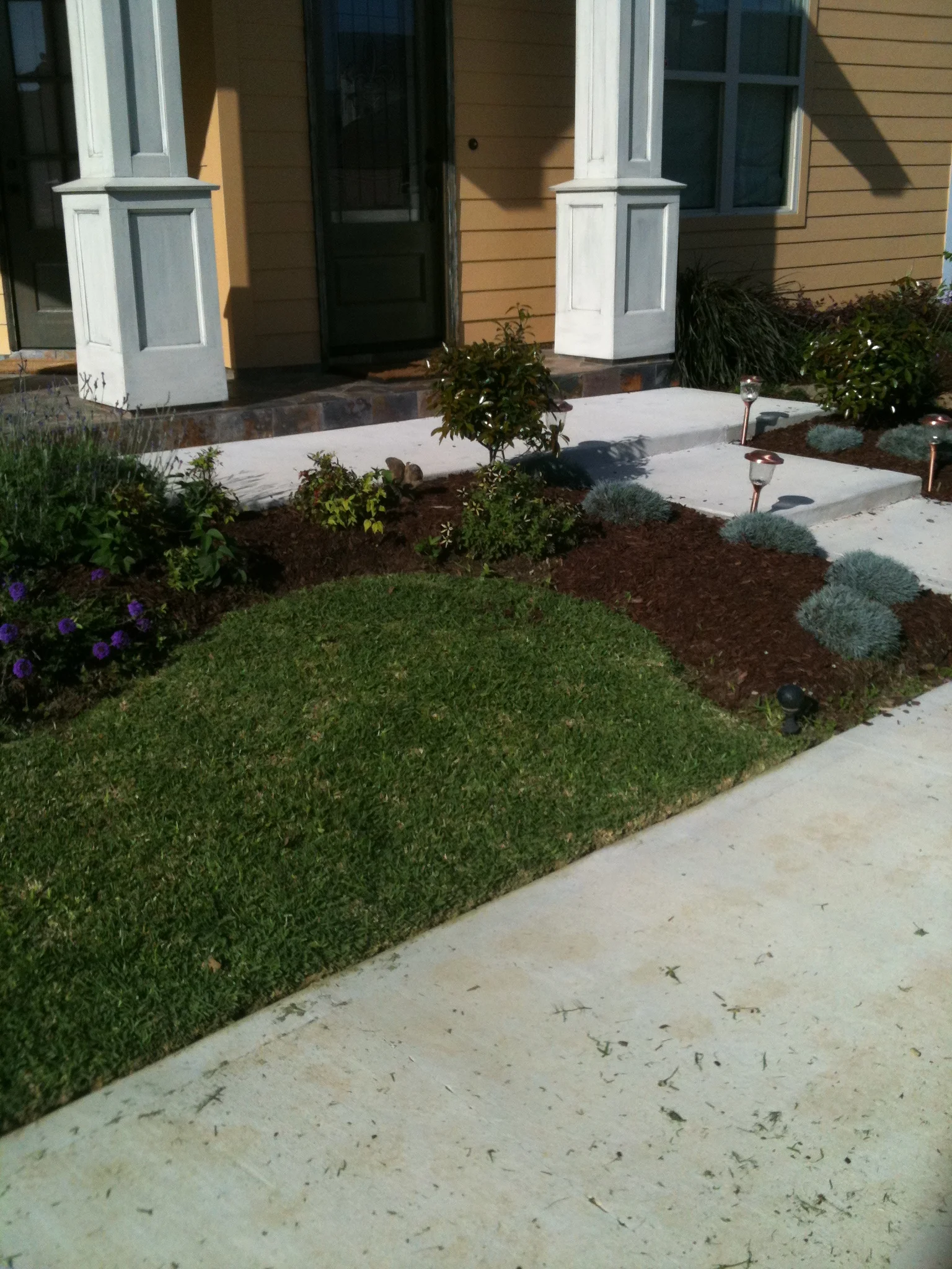 Pace's Mulch After #1.JPG