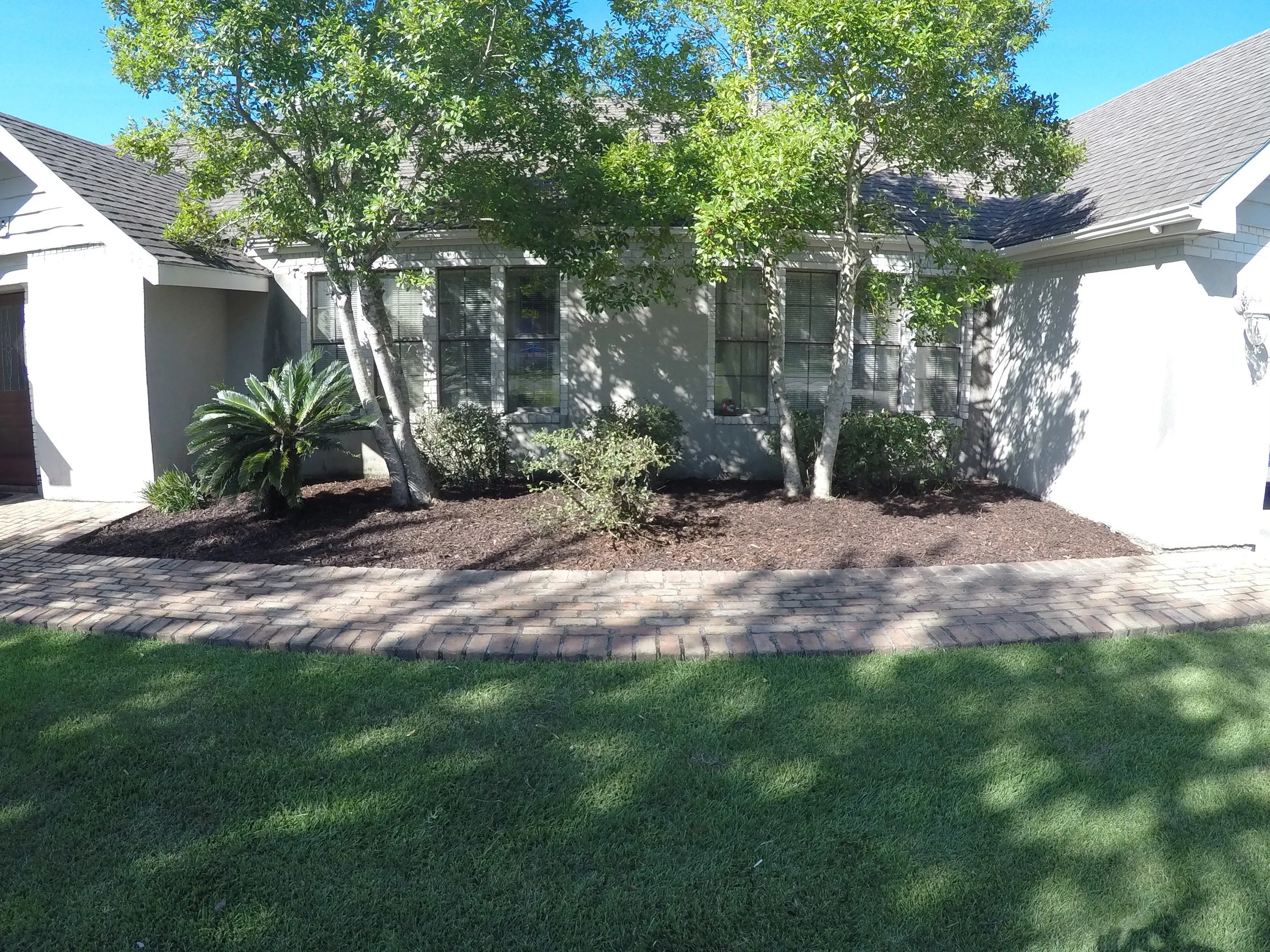 Go Pro Pictures and videos up to August 1st 2015 060.JPG