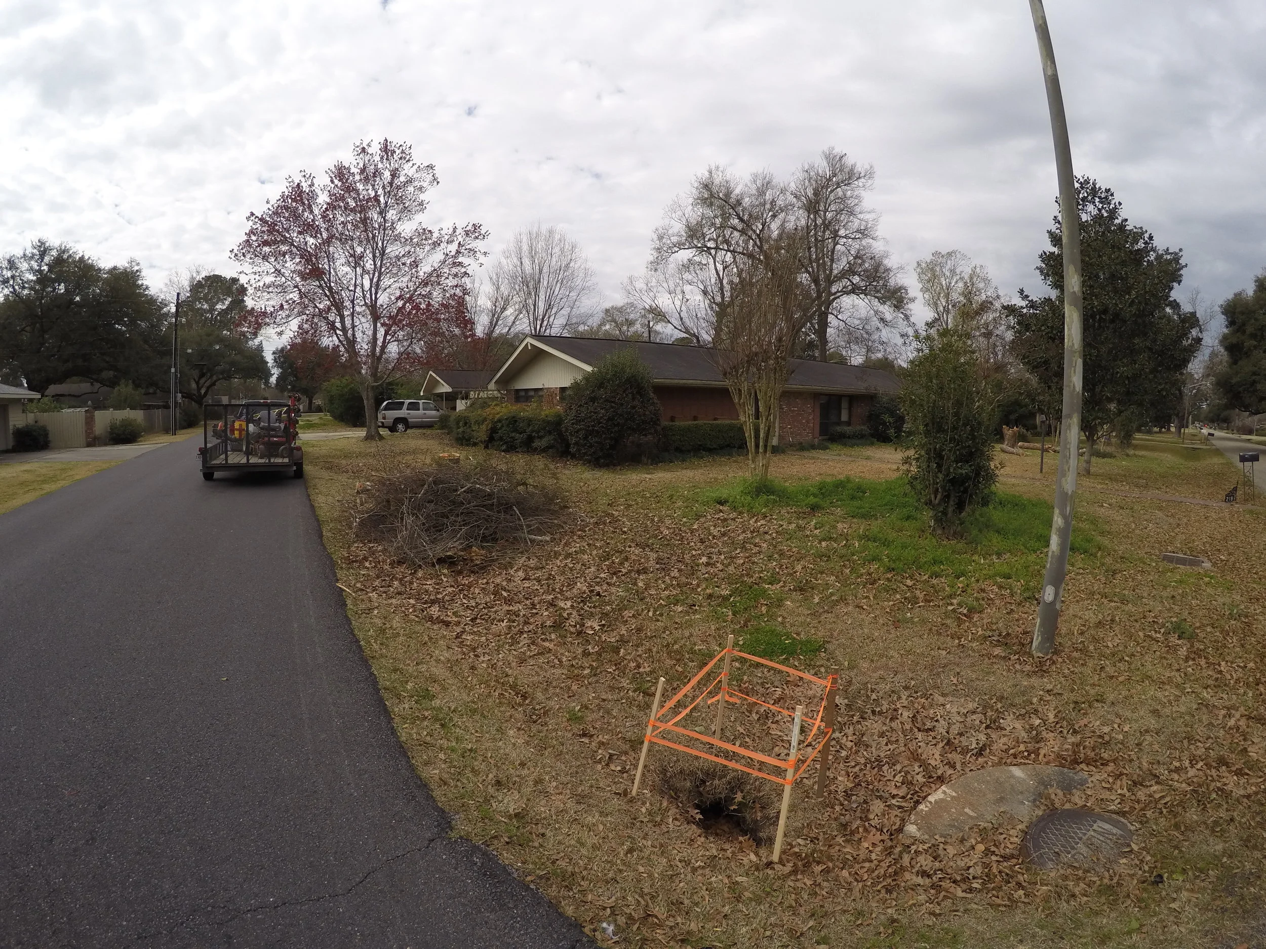 Landscape project on Karen Dr. Febraury 20th 2015 005.JPG