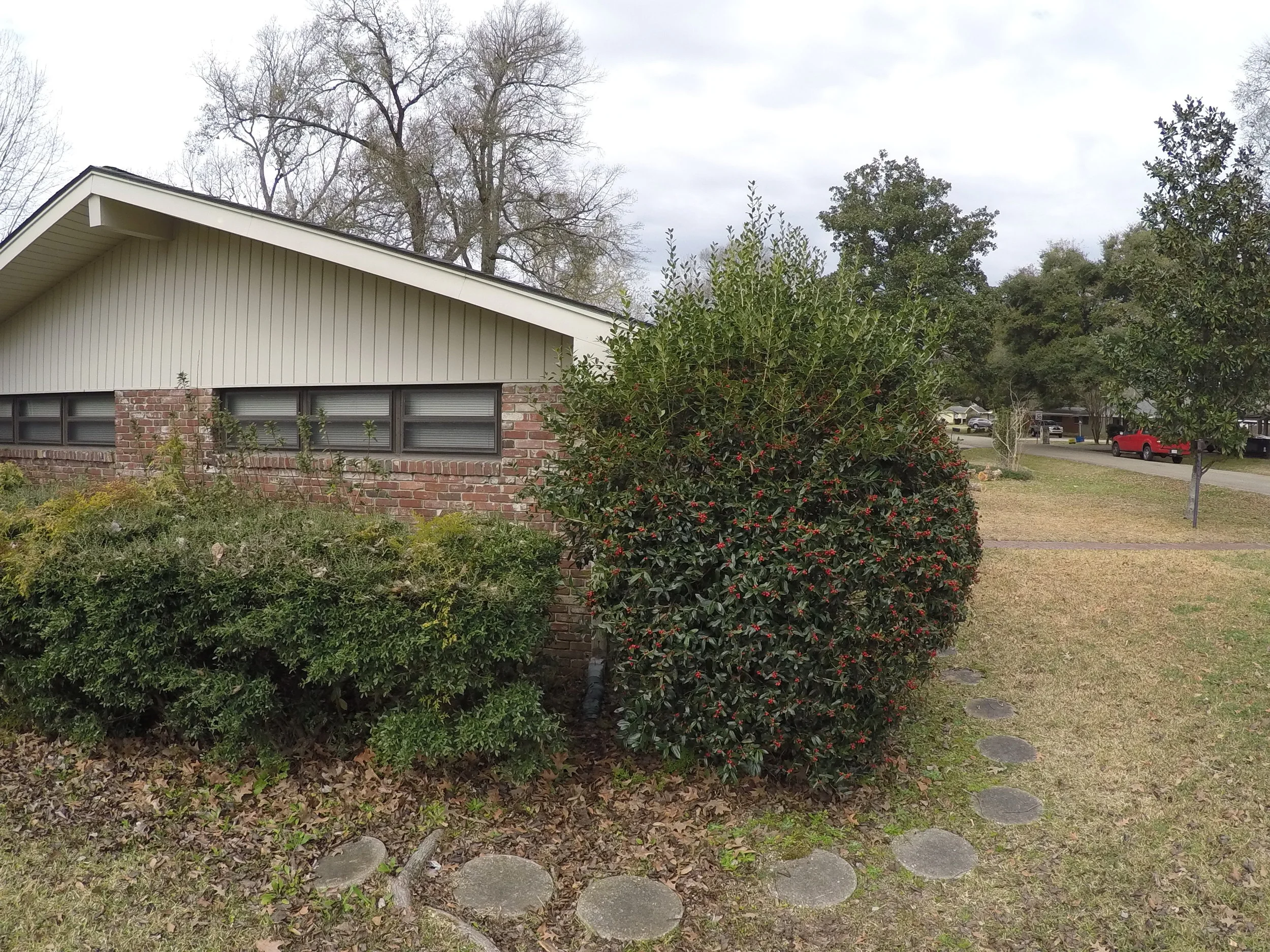 Landscape project on Karen Dr. Febraury 20th 2015 007.JPG