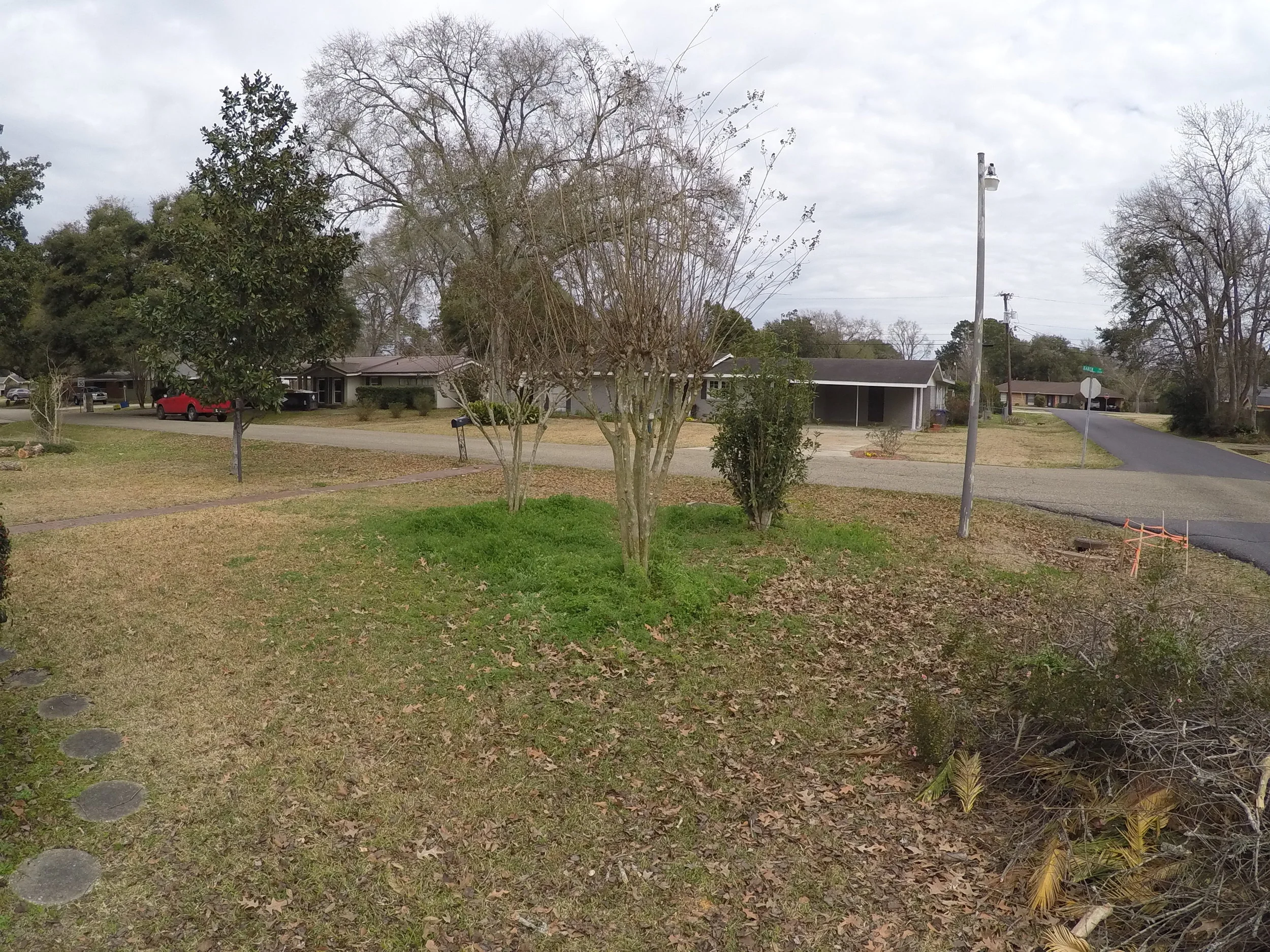 Landscape project on Karen Dr. Febraury 20th 2015 009.JPG