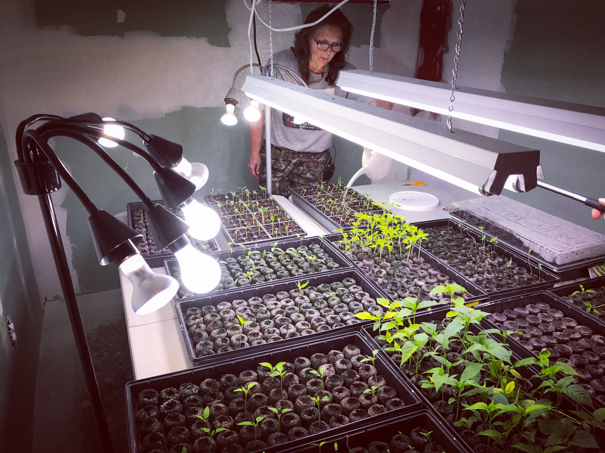 Debbra Arndt tends to her plants, O'Fallon, Missouri, April 11, 2107.