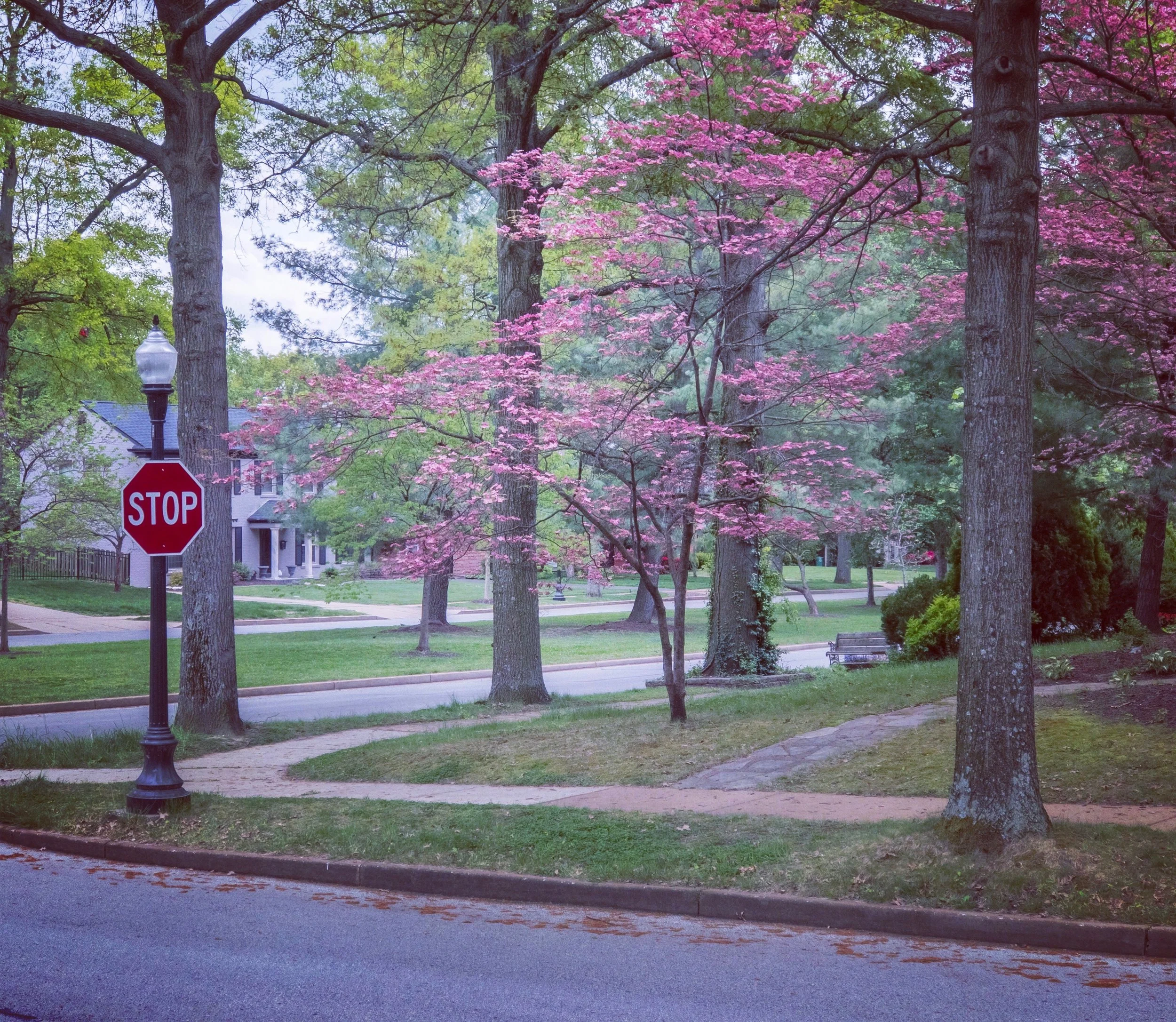 Clayton, Missouri.