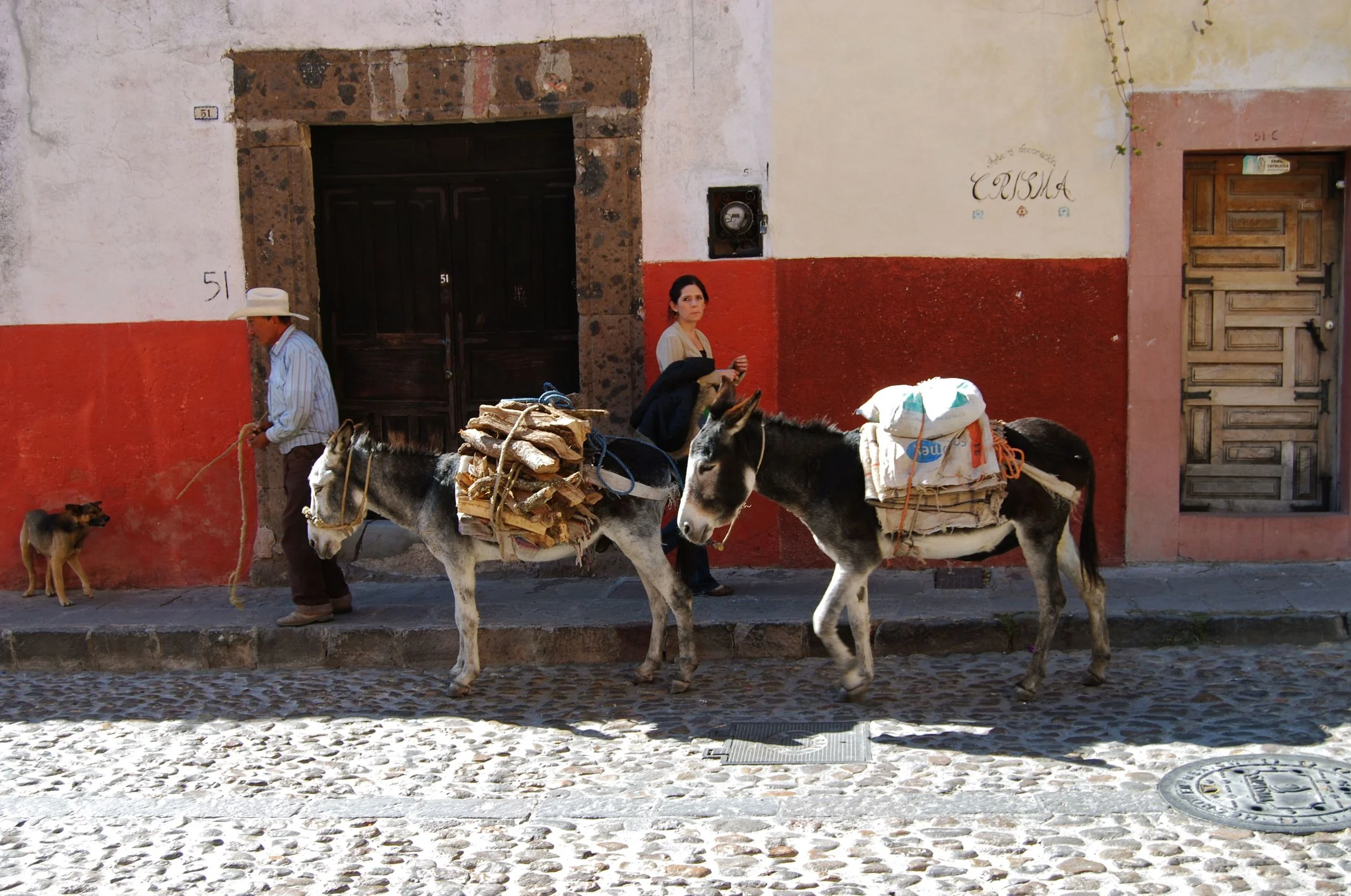 DSC_0251.jpg