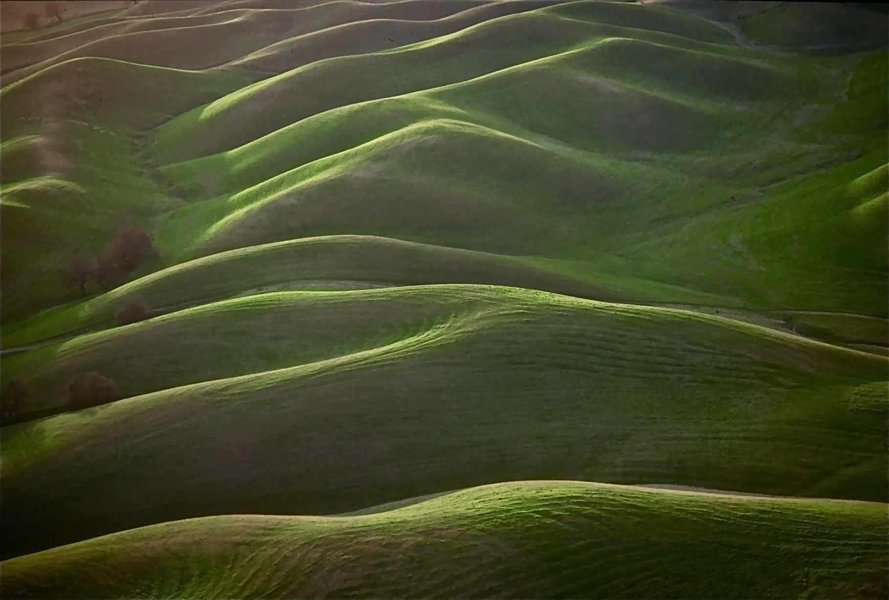 California Hills IV