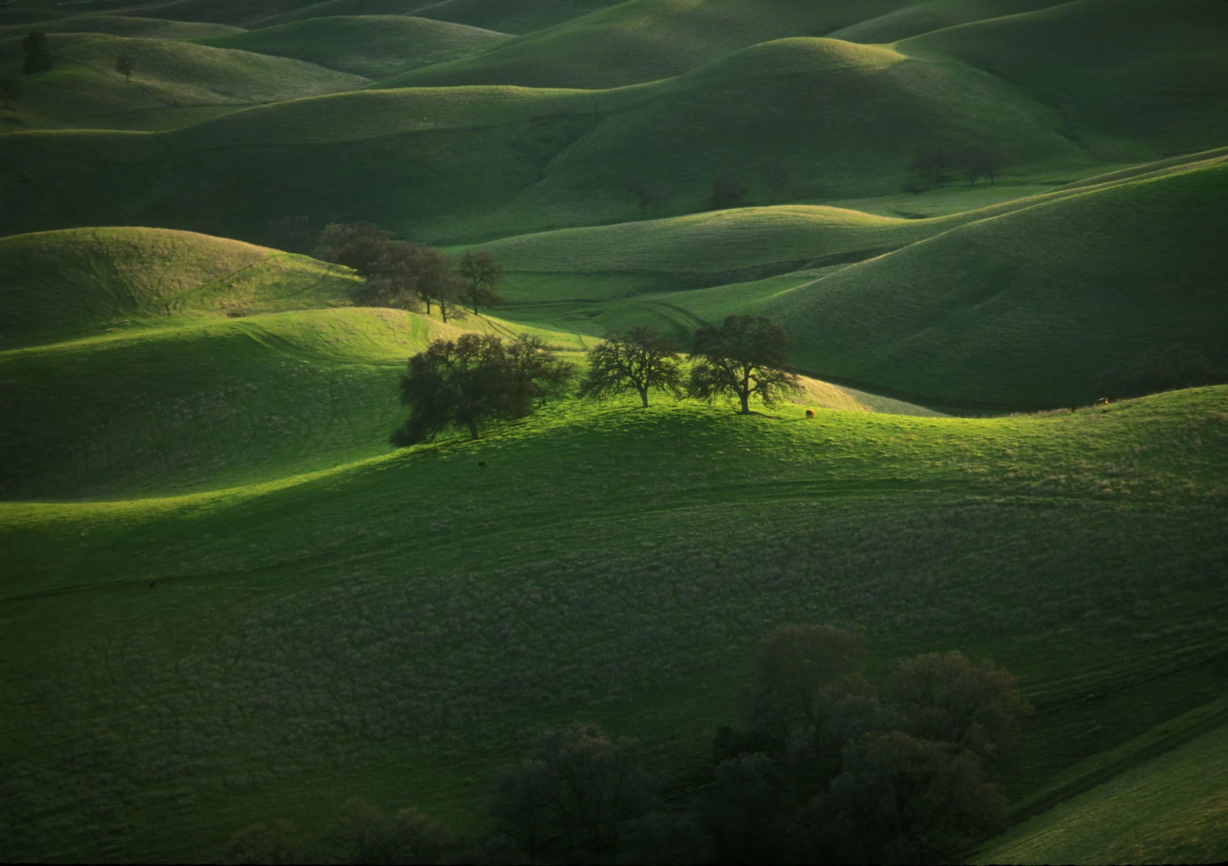 CALIFORNIA HILLS IV.jpg