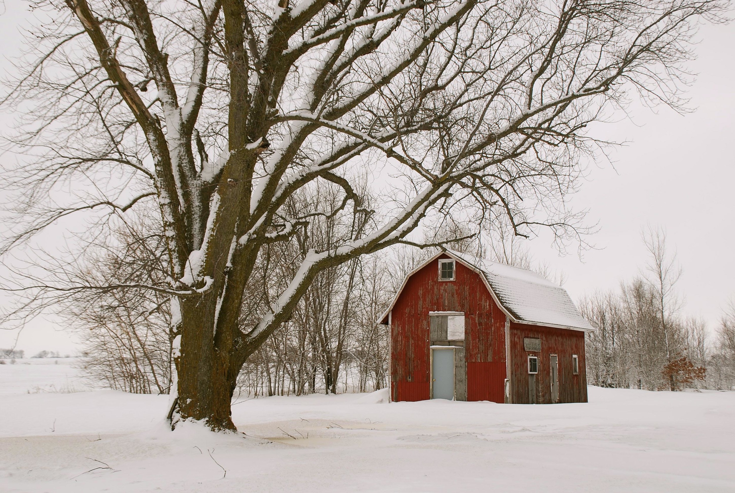 Red Shed