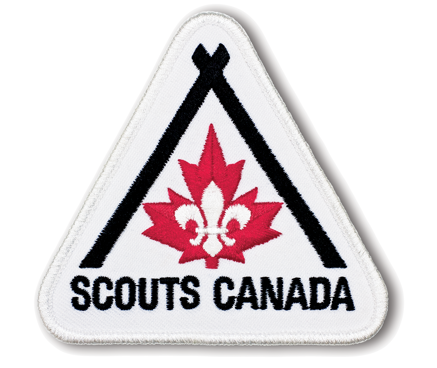 1st Cartier Scouts