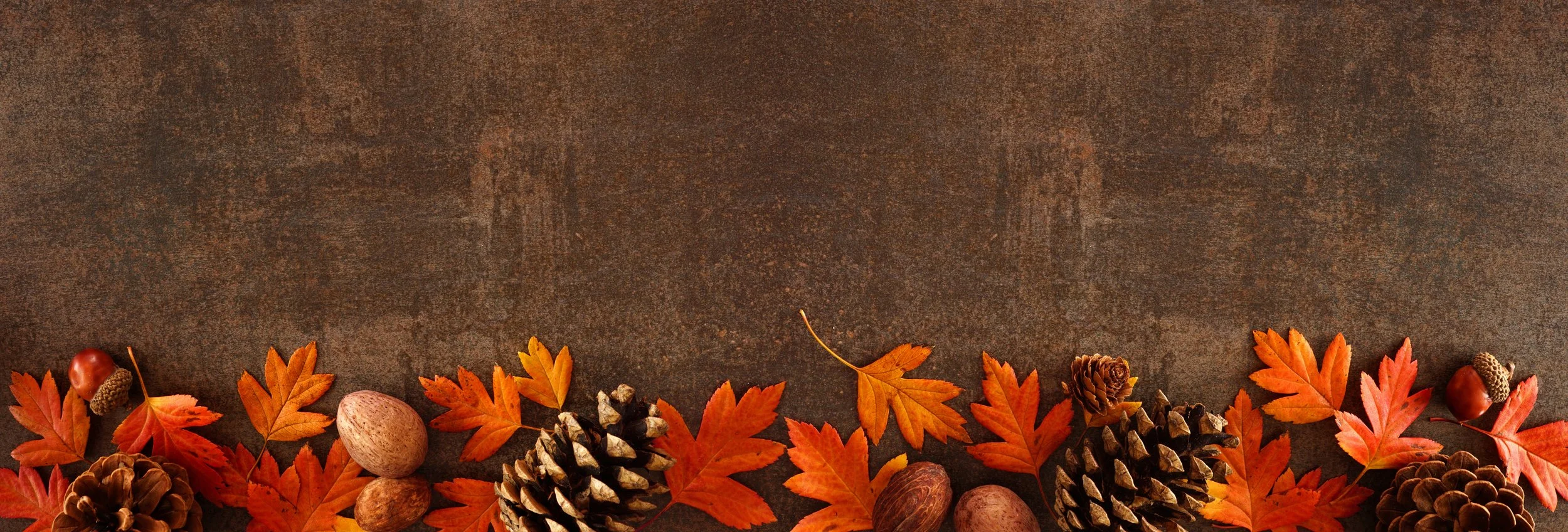 Fall.jpeg
