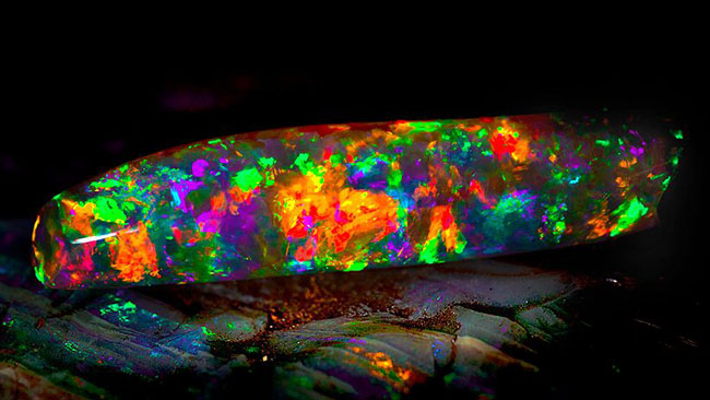 The Virgin Rainbow opal is a rare example of a precious opal that exhibits such a wide array of the spectrum of light that it is said it glows even in the darkest of circumstances. 