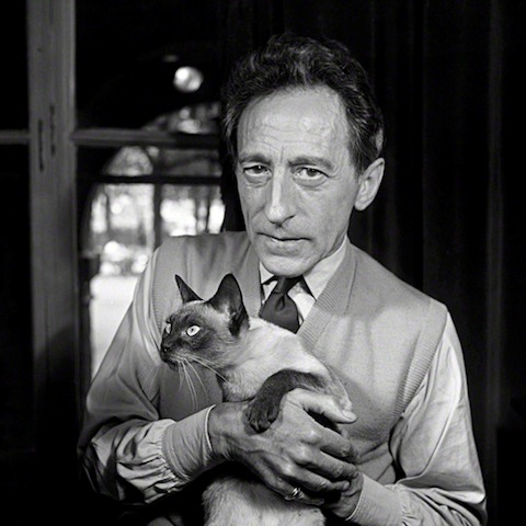 Jean Cocteau in the 1940's. Besides being an Actor, Playwright, Designer, Director and Artist, Cocteau was known for 2 things; his Siamese cat and the trinity rings he wore on his pinky.