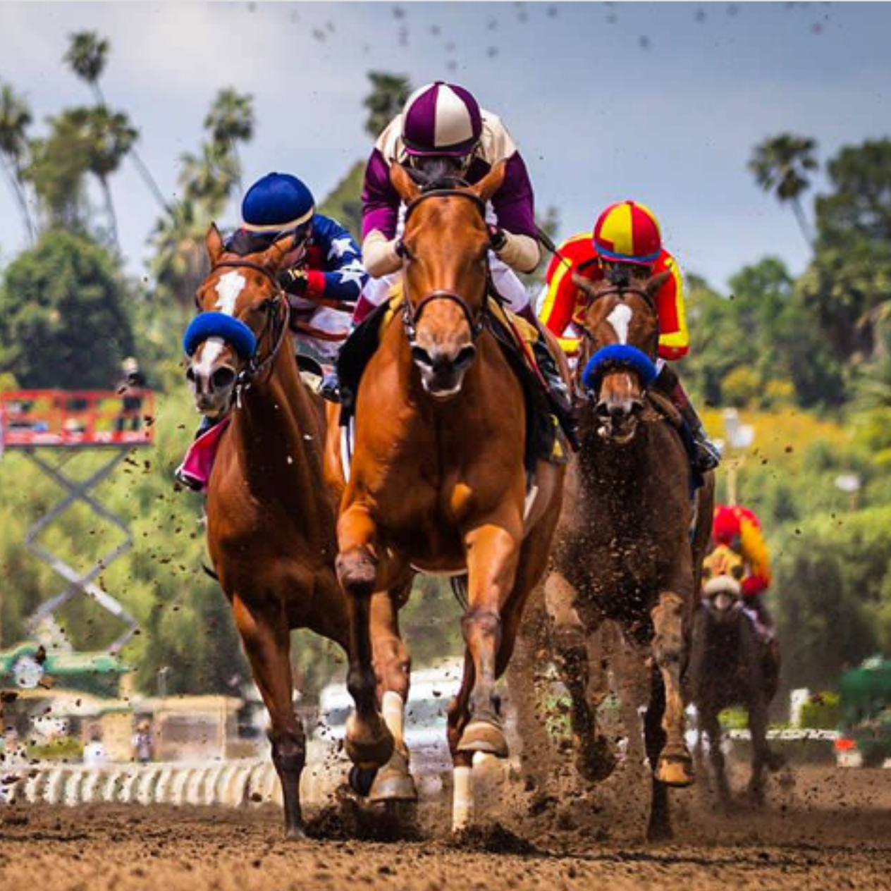 Preakness Pop-Up Shop at Santa Anita Park