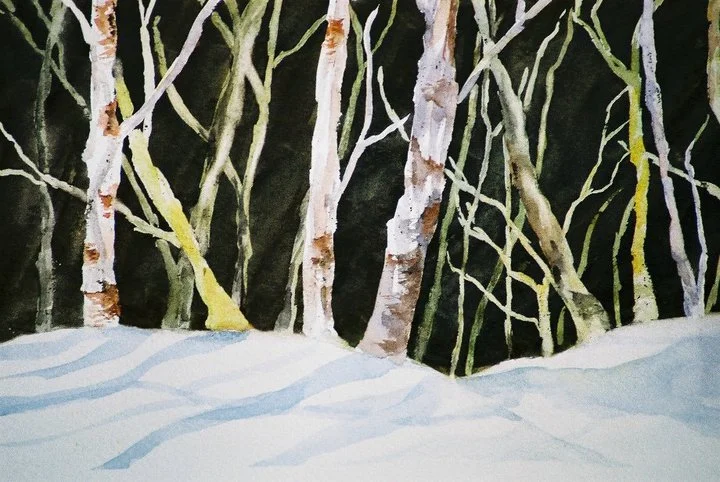 Woods in Winter
