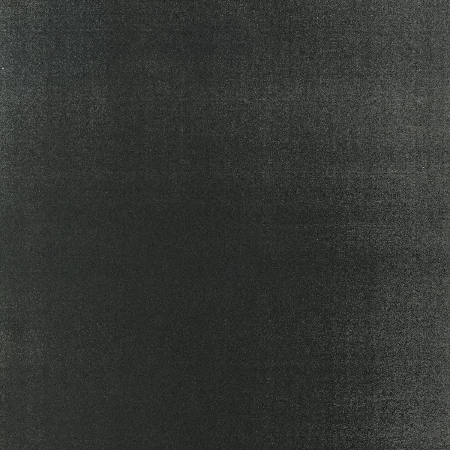 ss-pp.jpg