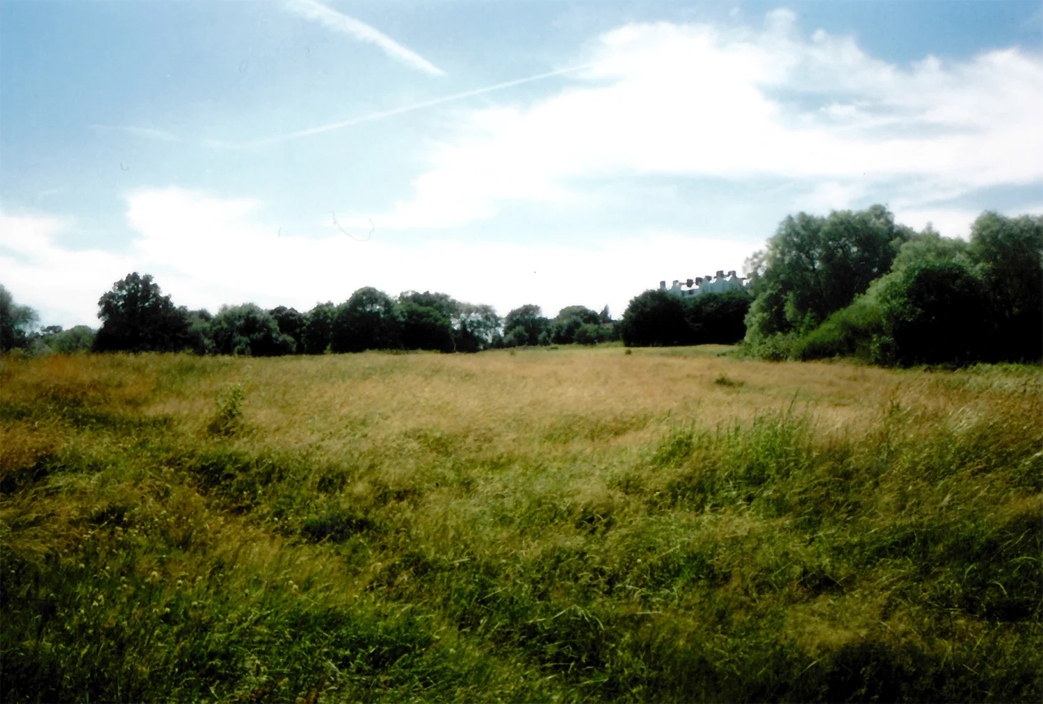 hampstead_heath.jpg