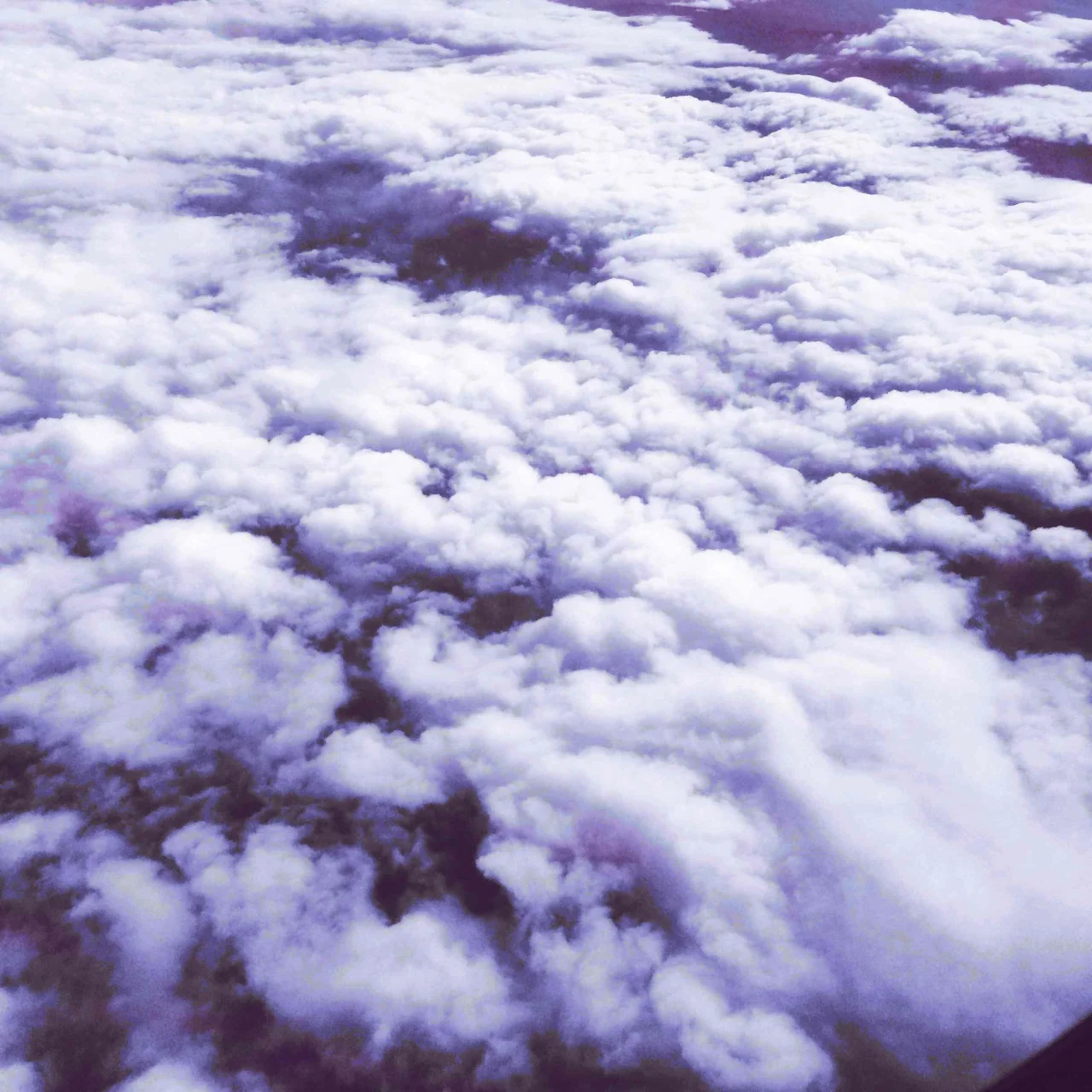 Escape to Big Sur With Swim Team