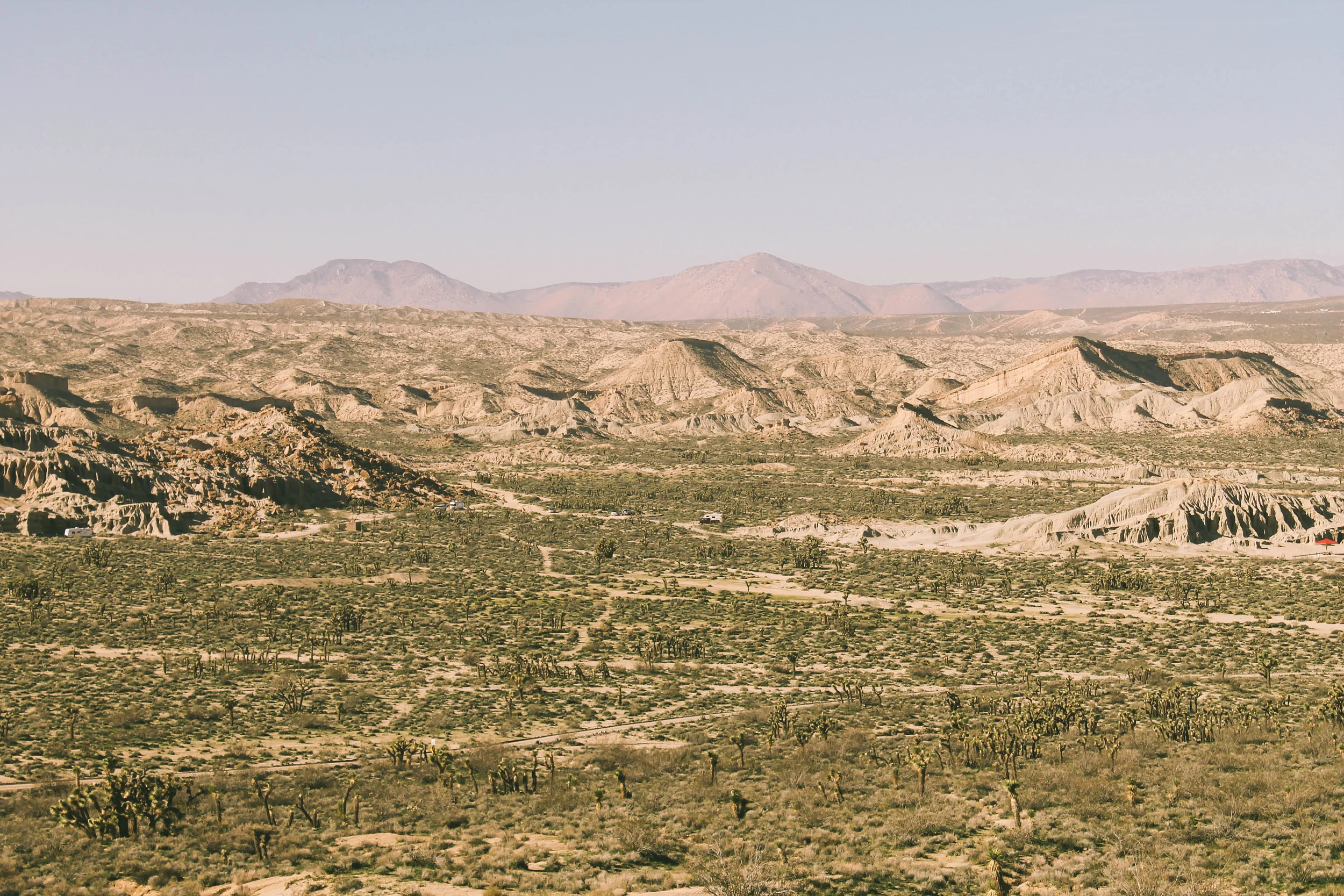 desert.jpg
