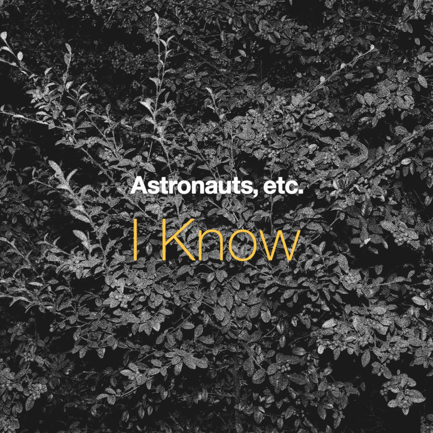 Astronauts, etc. - "I Know"