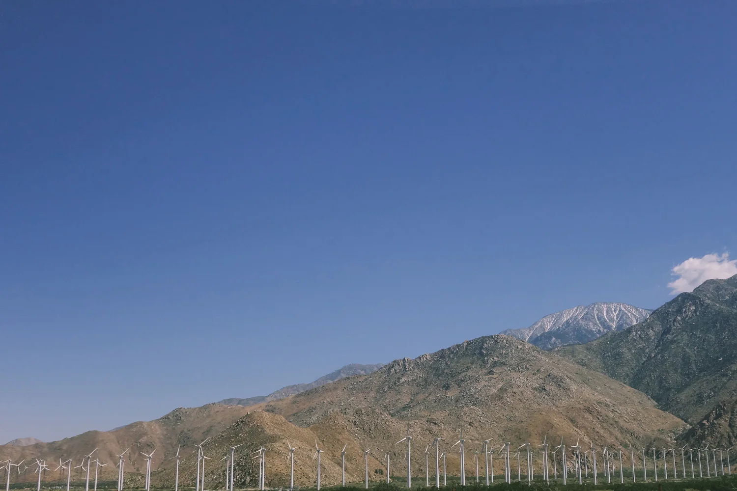 Palm Springs: Southern California's Favorite Desert Getaway