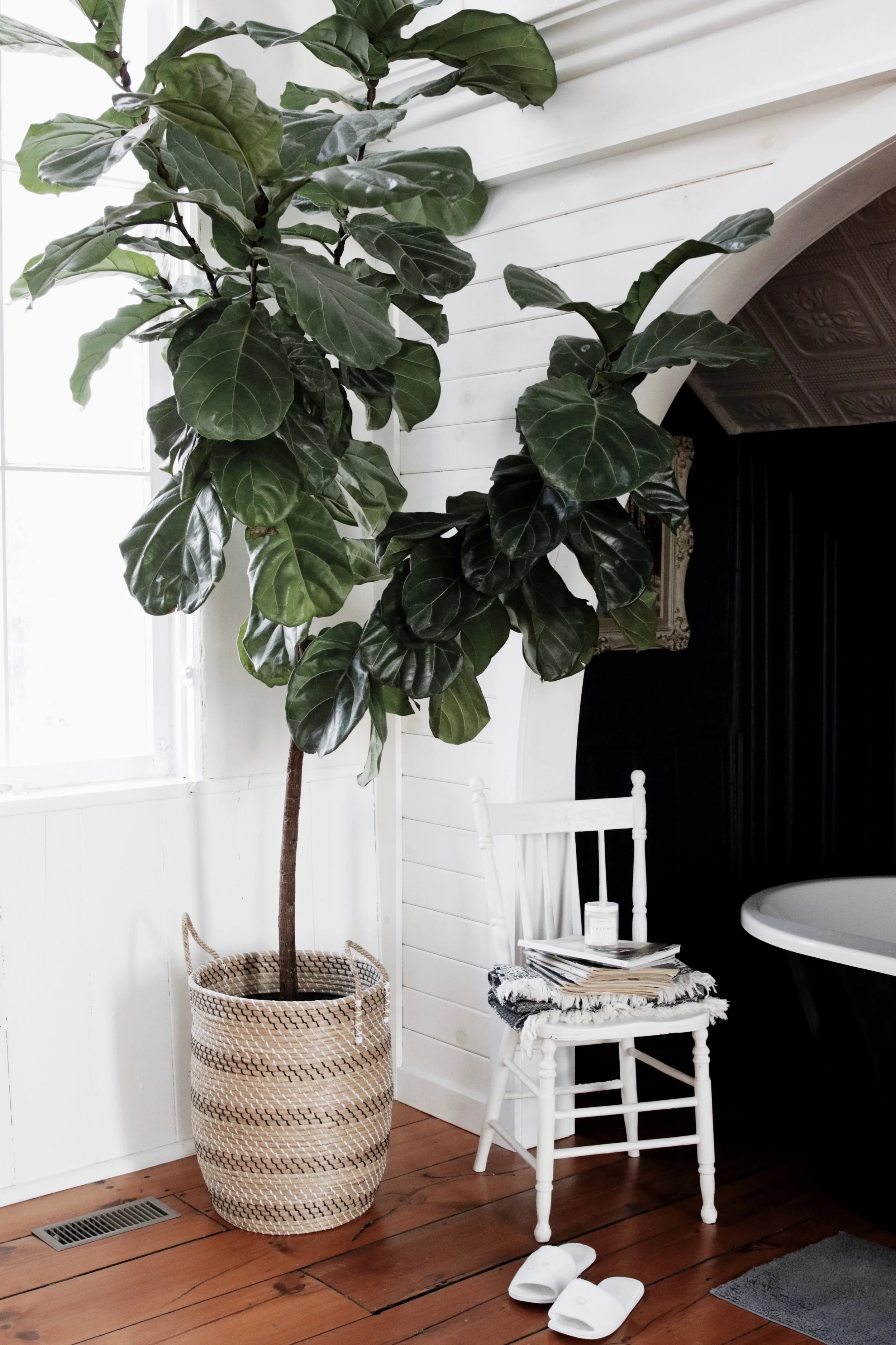 SANCTUARY IN PRINCE EDWARD COUNTY