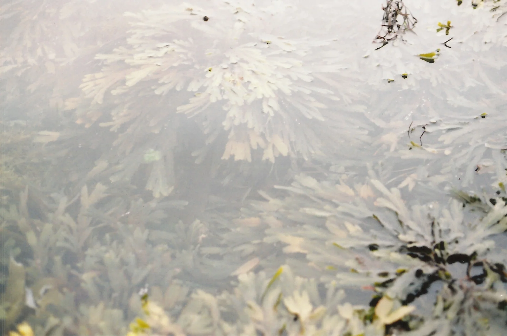 ScotRoadTrip13 12.jpeg