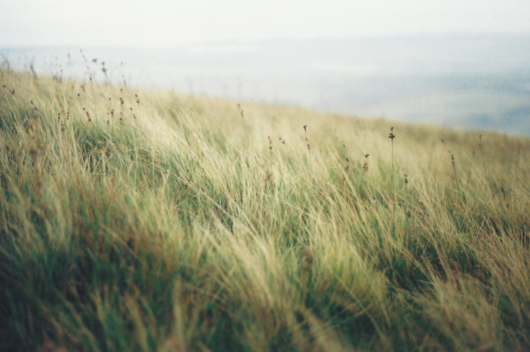 ScotRoadTrip13 19.jpeg