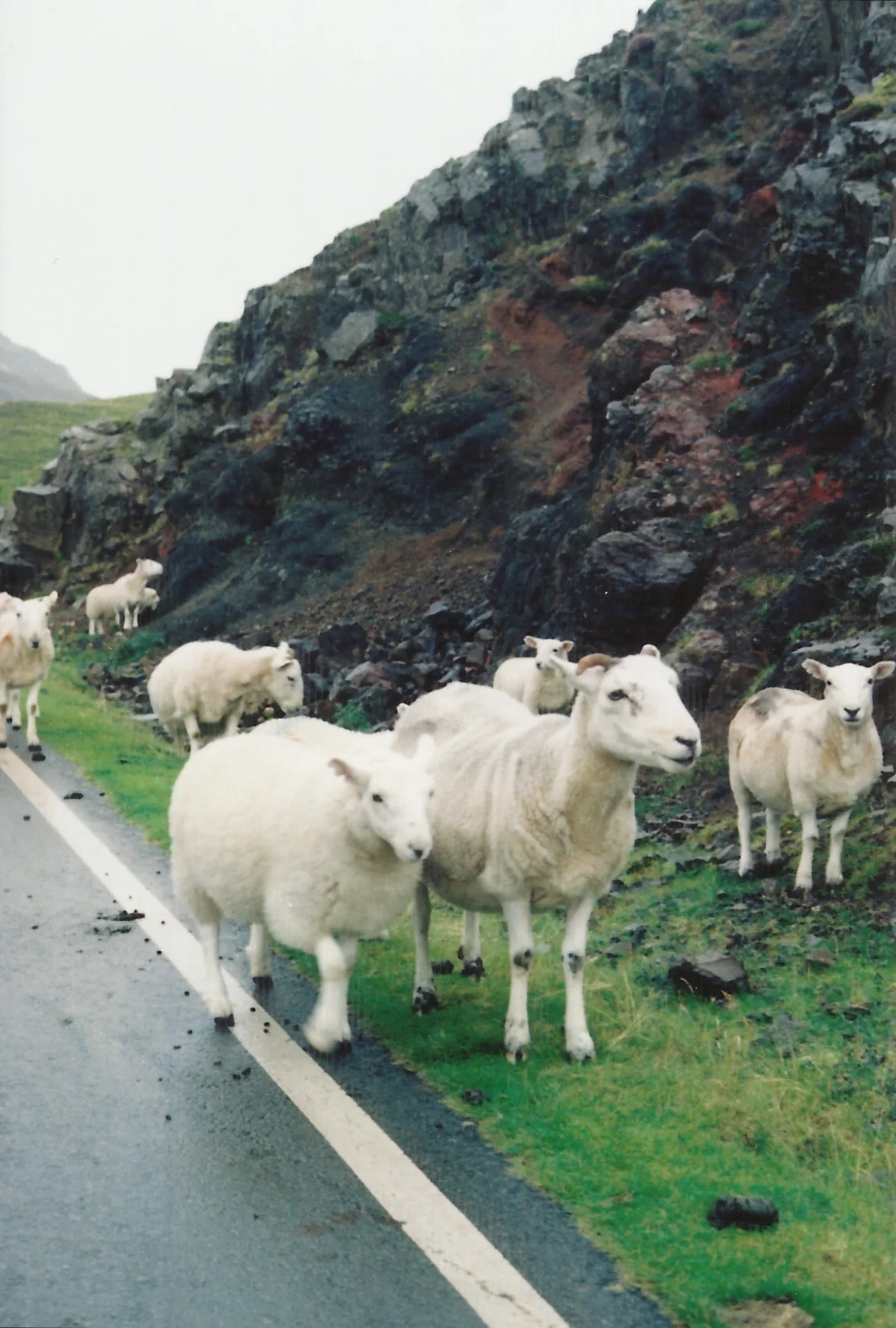 ScotRoadTrip13 22.jpeg