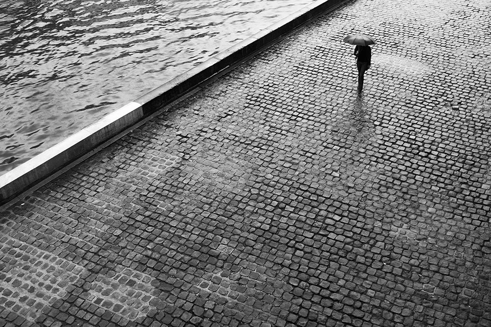 Seine 2014