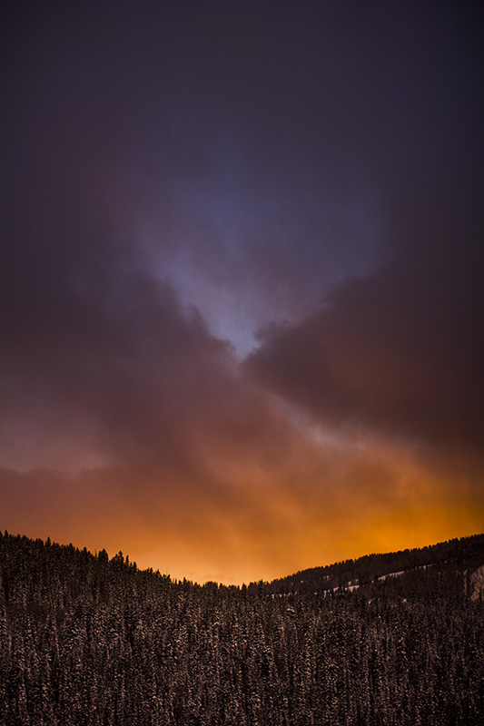 Telluride 2014