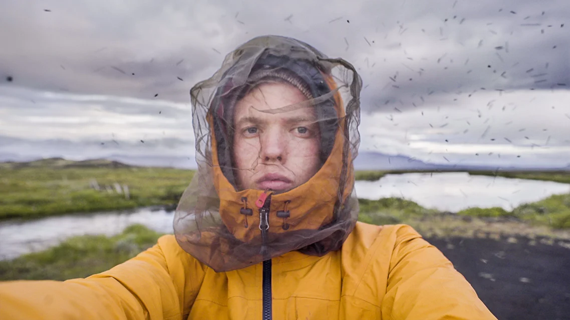 Midges around Mývatn are no joke.
