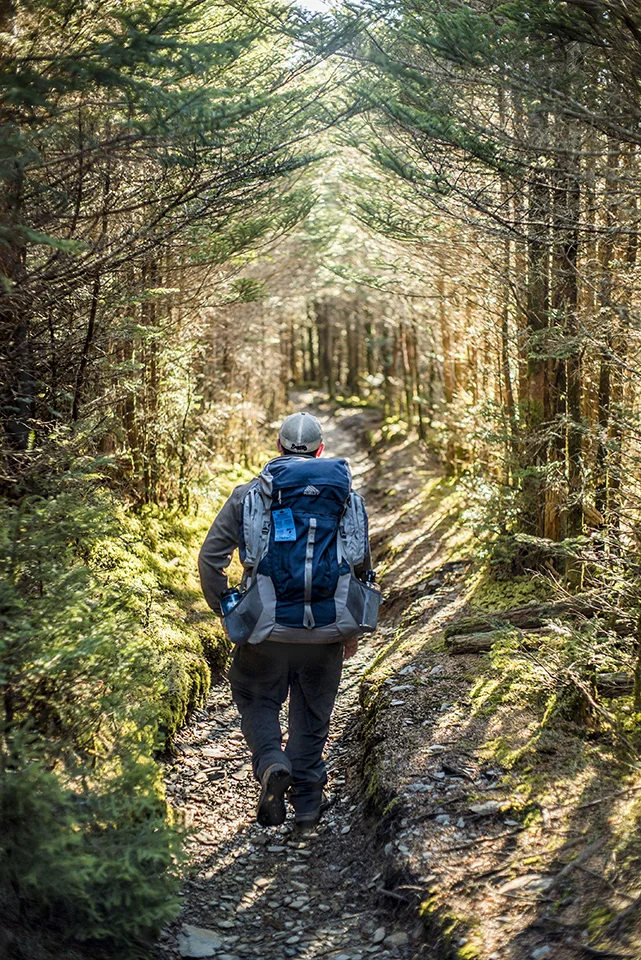 Great Smoky Mountains 2016