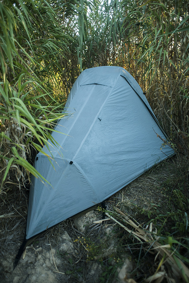 This bamboo grove was my home for ~3 weeks on the outskirts of Utebo, a small town near Zaragoza.
