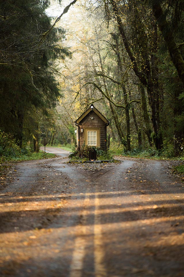 Hoh Rainforest 2016
