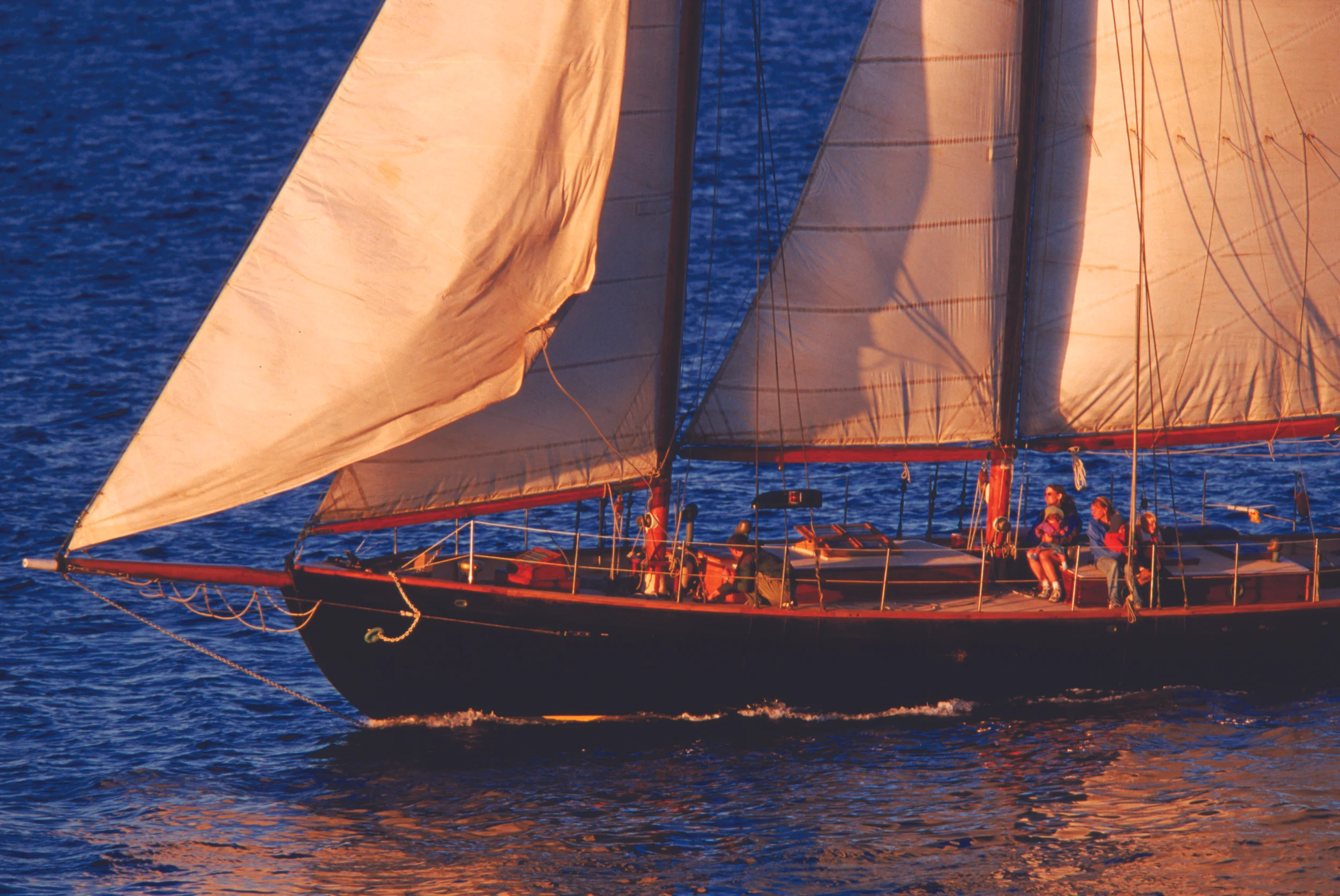 David Half Boat.jpg